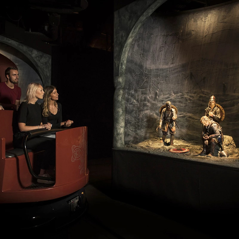 RED Sightseeing Stockholm bus + Winter Waterways Tour + Viking Museum
